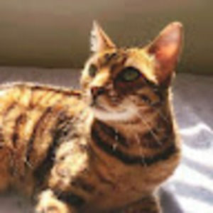 Meet your Posher, Sofia